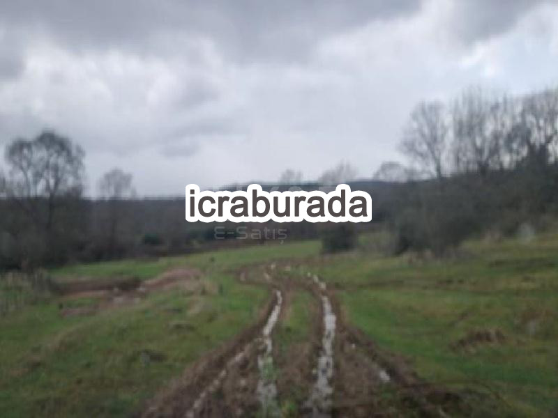 icralık  m2 Tarla İstanbul Şile Teke