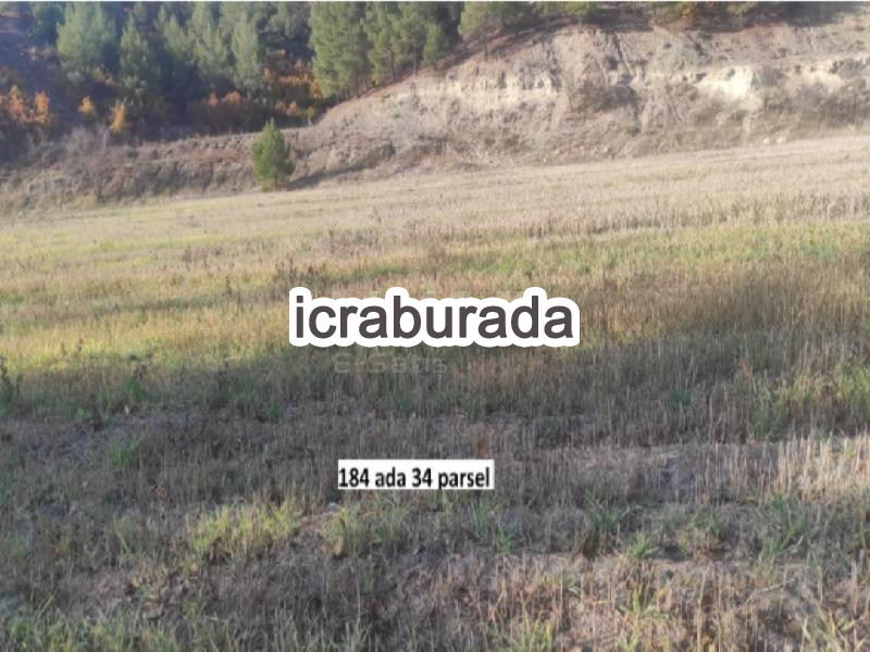 icralık  m2 Tarla Denizli Acıpayam Köke