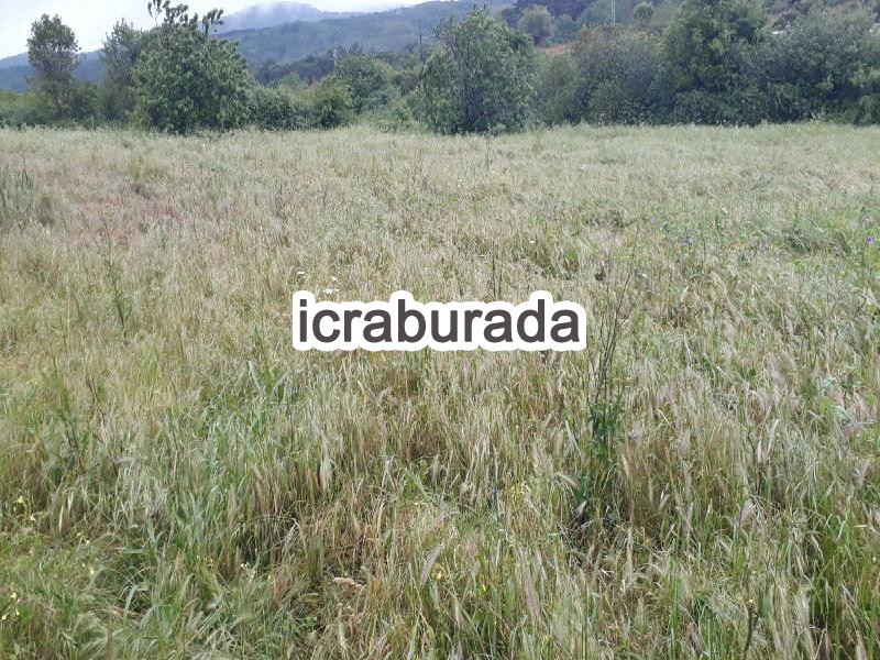 icralık  m2 Tarla Balıkesir Erdek Yukariyapici