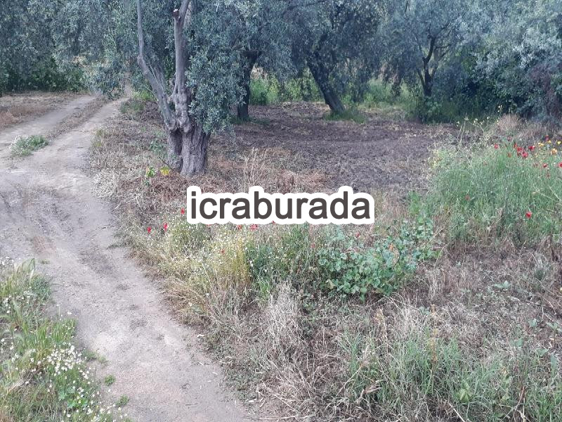 icralık  m2 Diger Balıkesir Erdek Yukariyapici