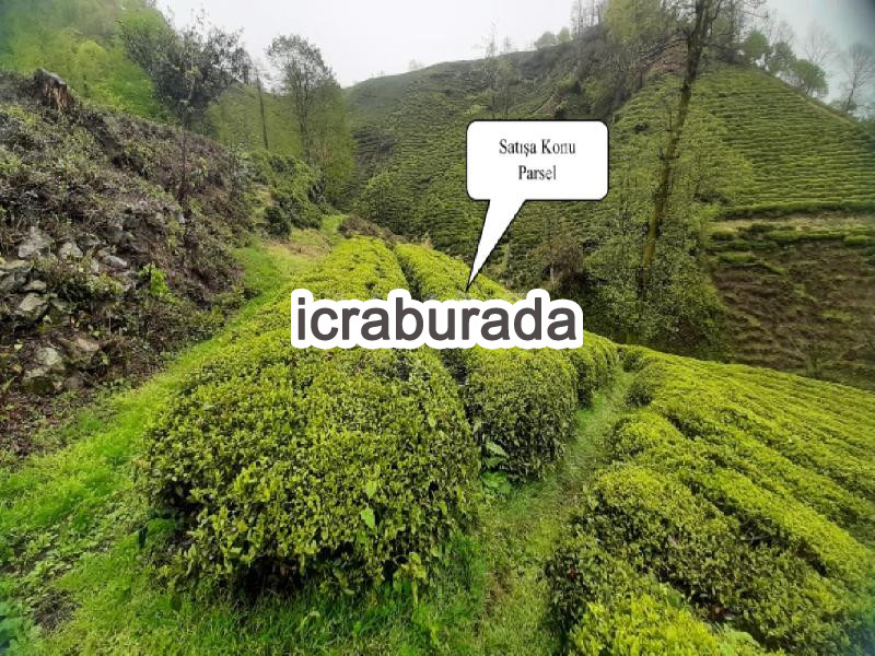 icralık  m2 Tarla Rize Merkez Azaklihoca