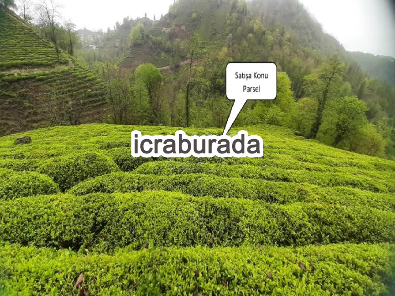 icralık  m2 Tarla Rize Merkez Azaklihoca