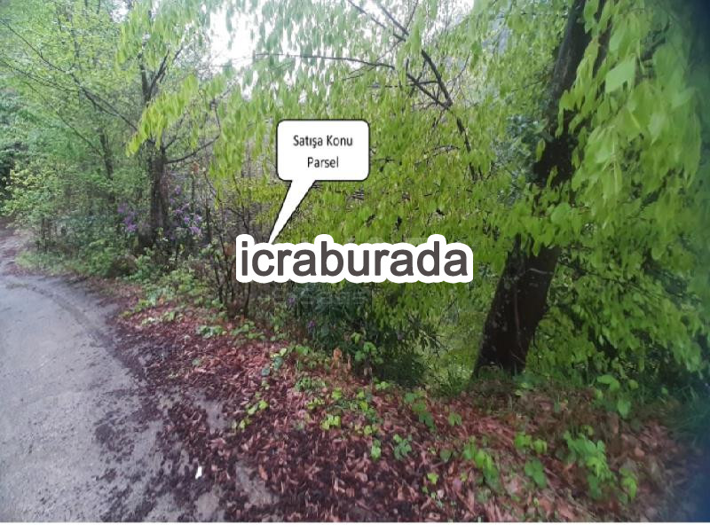 icralık  m2 Tarla Rize Merkez Azaklihoca