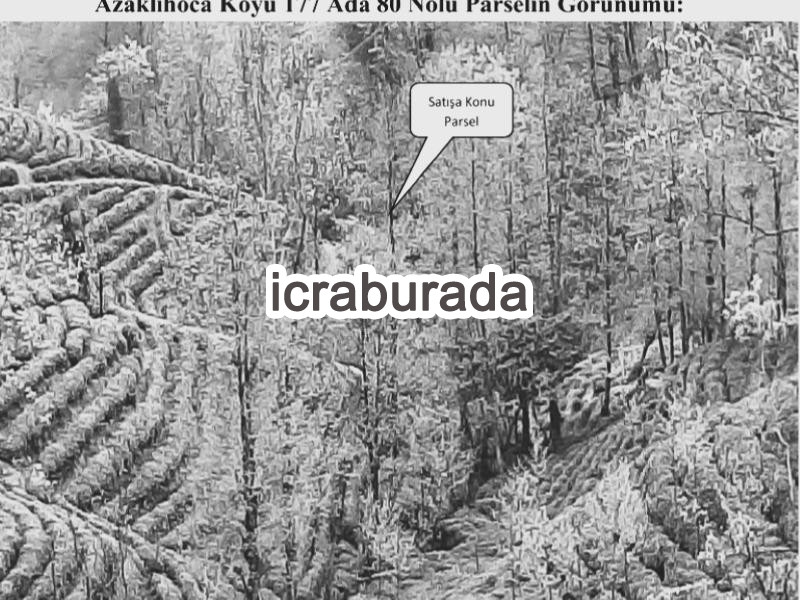 icralık  m2 Tarla Rize Merkez Azaklihoca