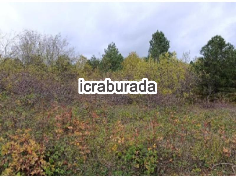 icralık  m2 Tarla Bursa İnegöl Tahtaköprü