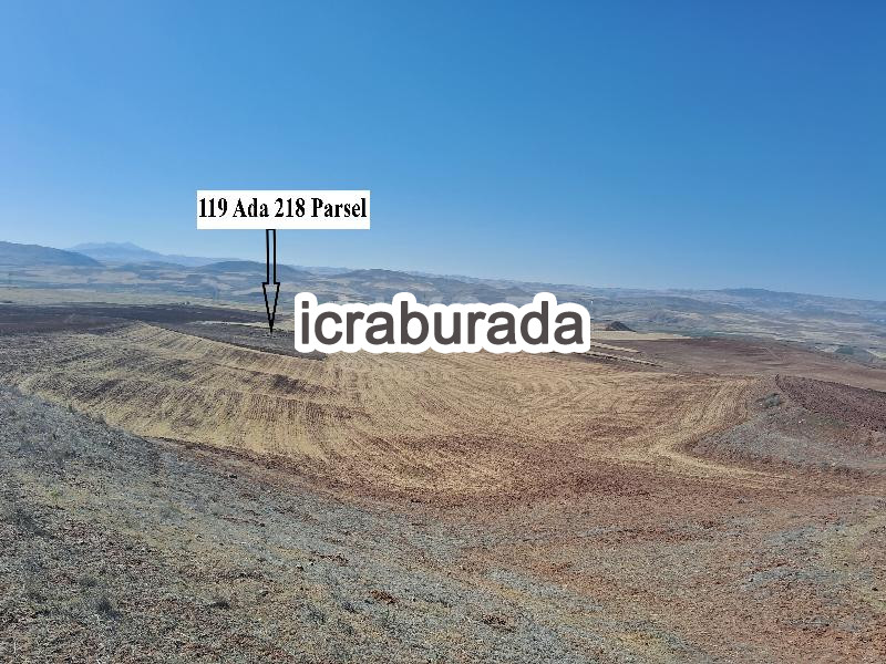 icralık  m2 Tarla Kırşehir Merkez Kortulu