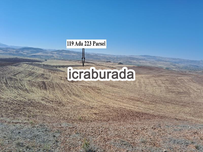 icralık  m2 Tarla Kırşehir Merkez Kortulu