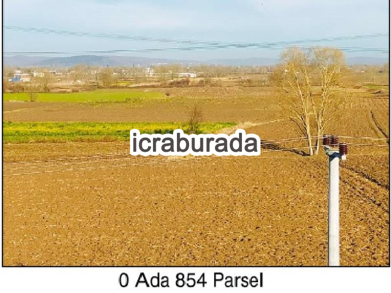 icralık  m2 Tarla Sakarya Adapazarı Abali