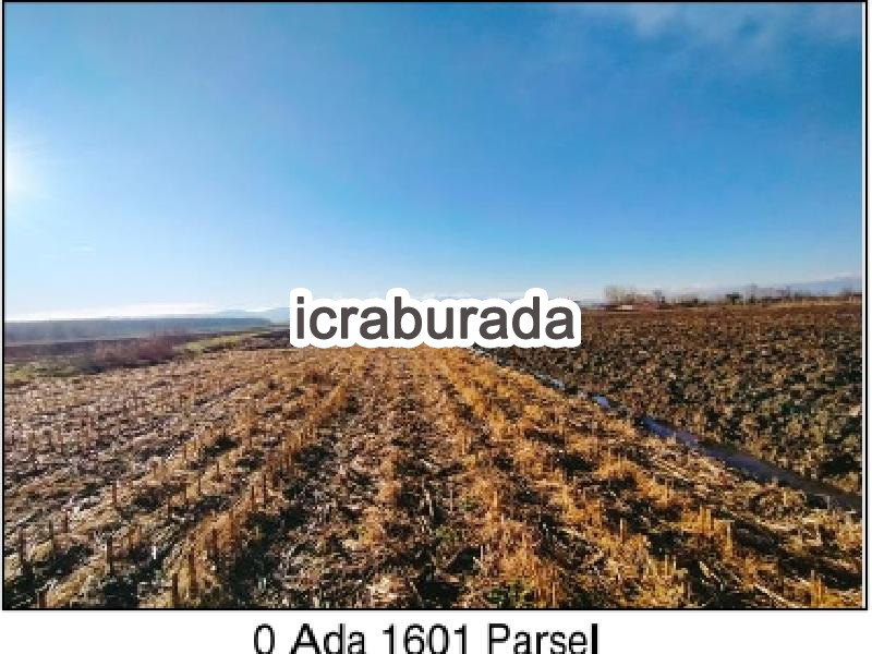 icralık  m2 Tarla Sakarya Adapazarı Budaklar