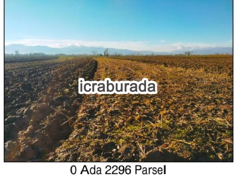 icralık  m2 Tarla Sakarya Adapazarı Budaklar