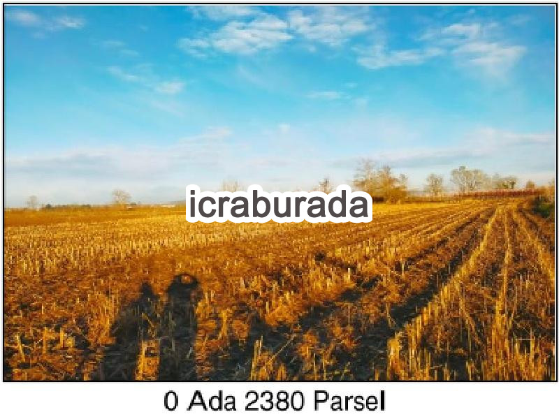 icralık  m2 Tarla Sakarya Adapazarı Budaklar