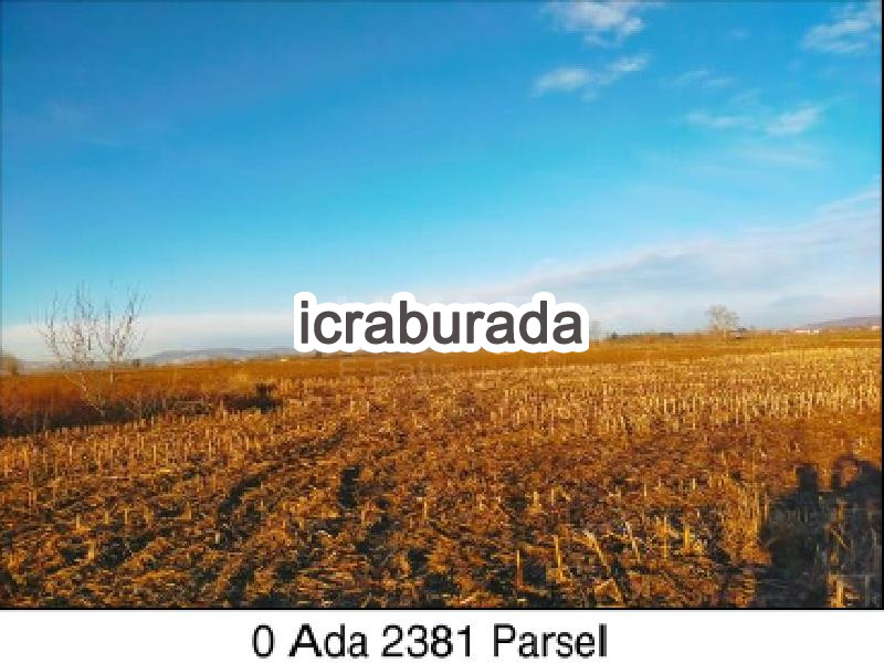 icralık  m2 Tarla Sakarya Adapazarı Budaklar