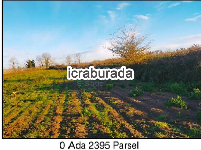 icralık  m2 Tarla Sakarya Adapazarı Budaklar