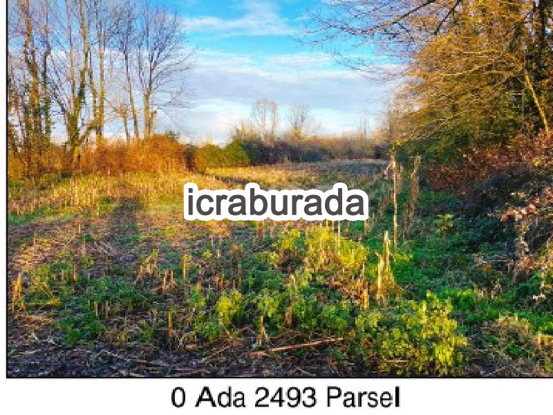 icralık  m2 Tarla Sakarya Adapazarı Budaklar