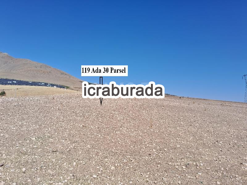 icralık  m2 Tarla Kırşehir Merkez Sevdiğin