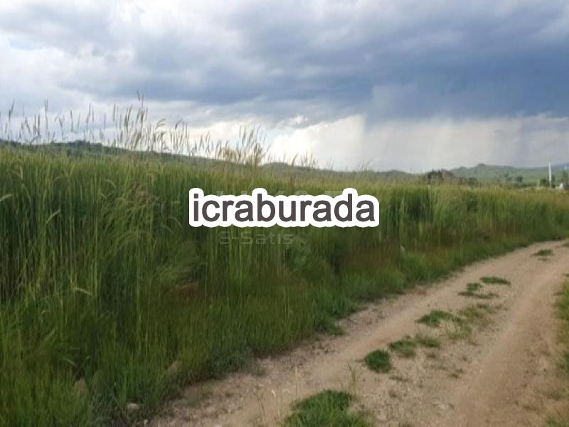 icralık  m2 Tarla Yozgat Sorgun Şahmuratli