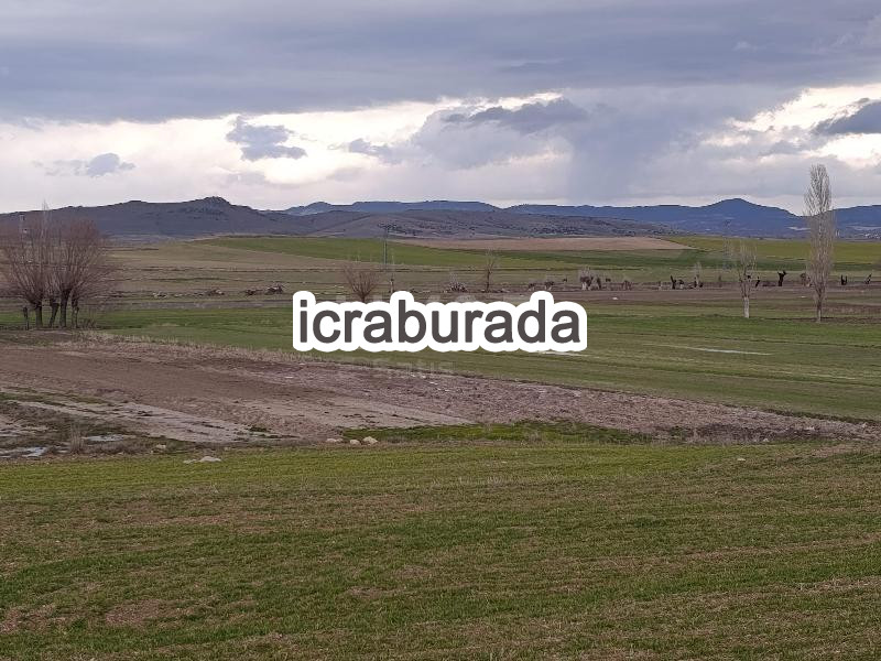 icralık  m2 Diger Afyonkarahisar İhsaniye Aşağitandir