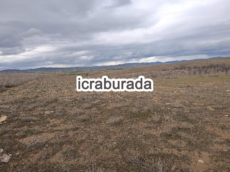 icralık  m2 Tarla Belirtilmedi Belirtilmedi Belirtilmedi