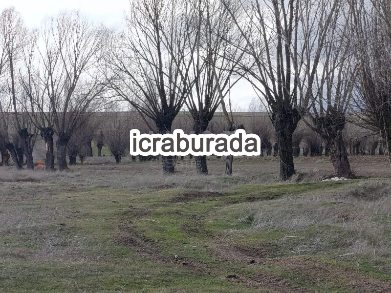icralık  m2 Tarla Belirtilmedi Belirtilmedi Belirtilmedi