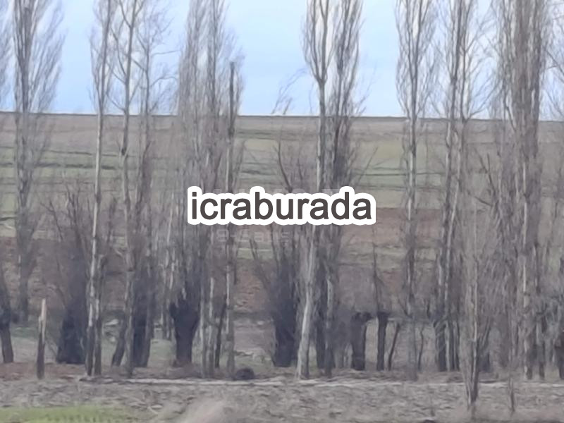 icralık  m2 Tarla Belirtilmedi Belirtilmedi Belirtilmedi