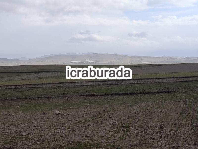 icralık  m2 Tarla Belirtilmedi Belirtilmedi Belirtilmedi