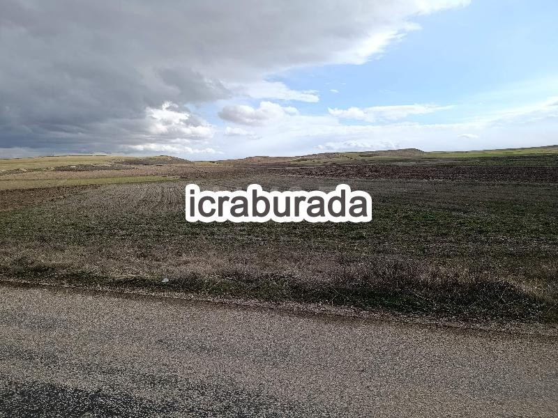 icralık  m2 Tarla Belirtilmedi Belirtilmedi Belirtilmedi