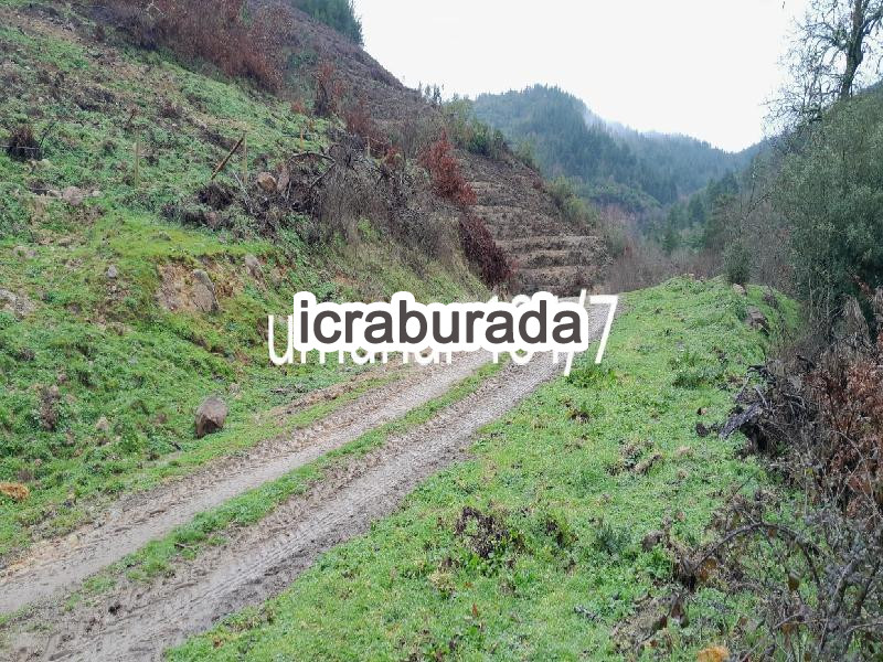 icralık  m2 Tarla Çanakkale Yenice Umurlar