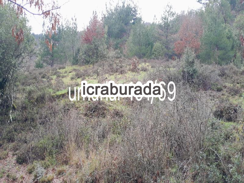 icralık  m2 Tarla Çanakkale Yenice Umurlar