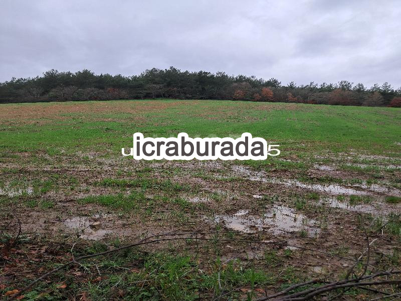 icralık  m2 Tarla Çanakkale Yenice Umurlar