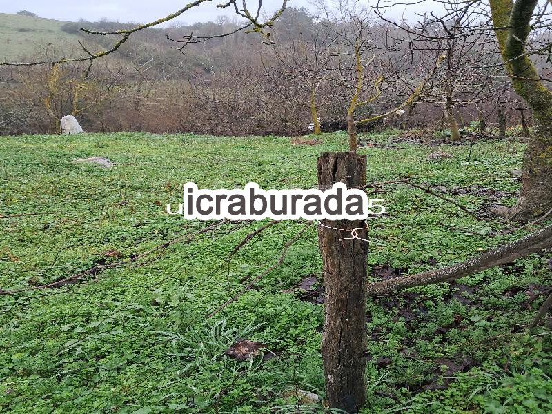 icralık  m2 Diger Çanakkale Yenice Umurlar