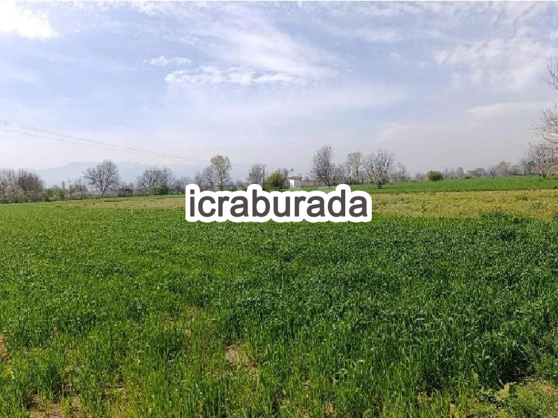 icralık  m2 Tarla Bursa İnegöl Alibey