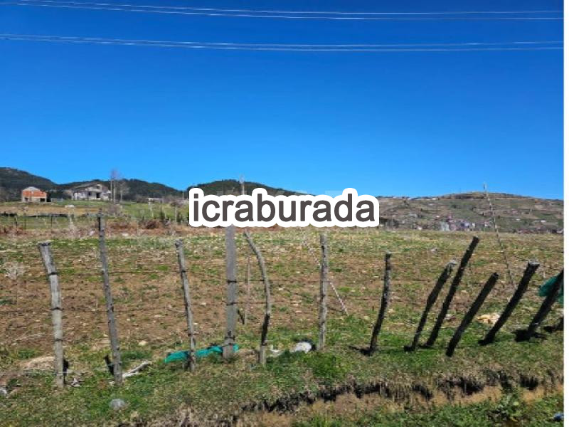 icralık  m2 Diger Ordu Kabadüz Turnalik