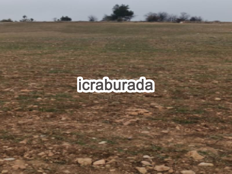 icralık  m2 Tarla Karaman Merkez Cerit