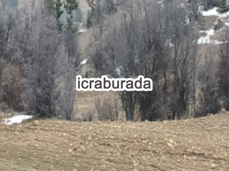icralık  m2 Bag Karaman Merkez Cerit