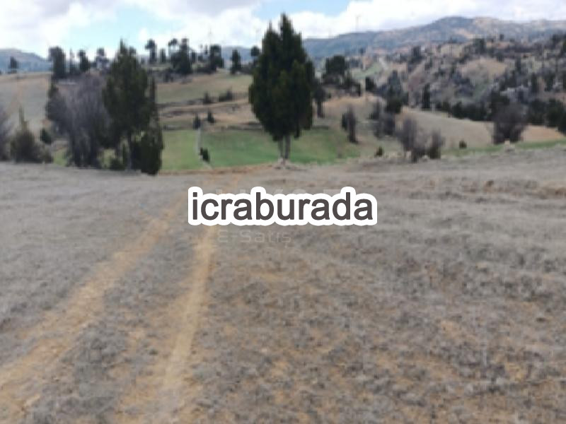 icralık  m2 Tarla Karaman Merkez Cerit