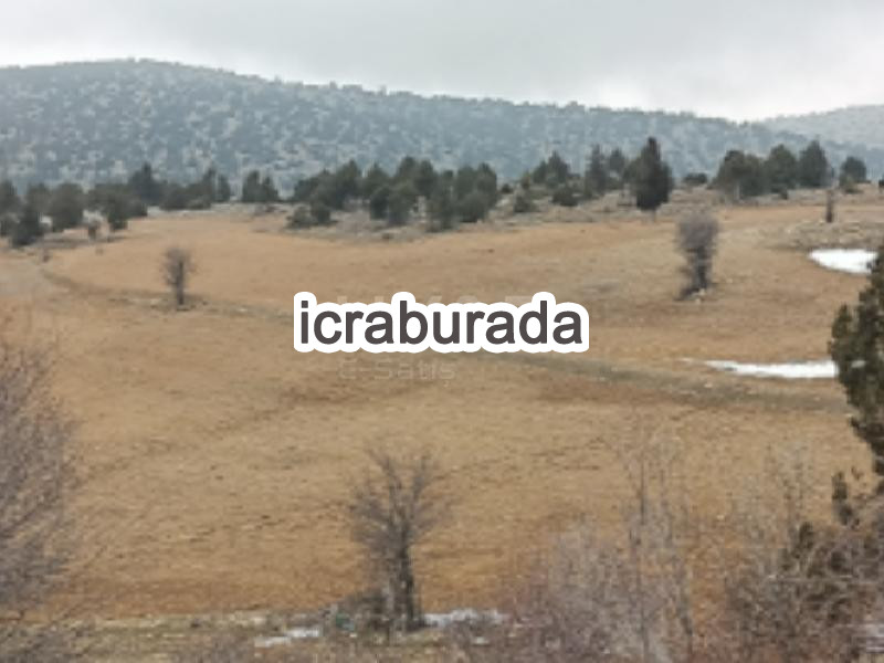 icralık  m2 Tarla Karaman Merkez Cerit