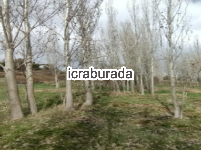 icralık  m2 Diger Karaman Merkez Cerit