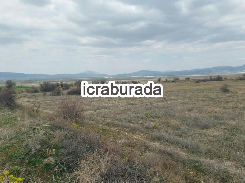 icralık  m2 Tarla Burdur Merkez Gökçebağ