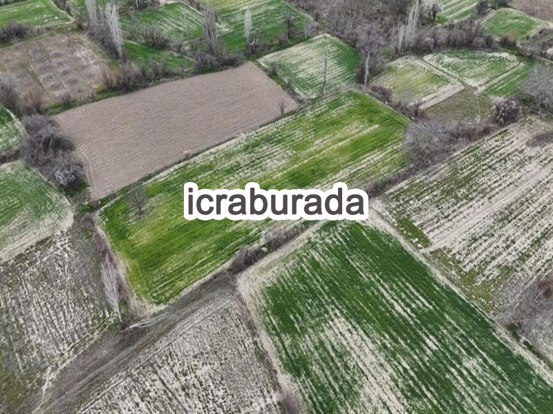 icralık  m2 Tarla Burdur Merkez Gökçebağ