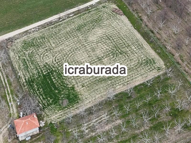 icralık  m2 Tarla Burdur Merkez Gökçebağ