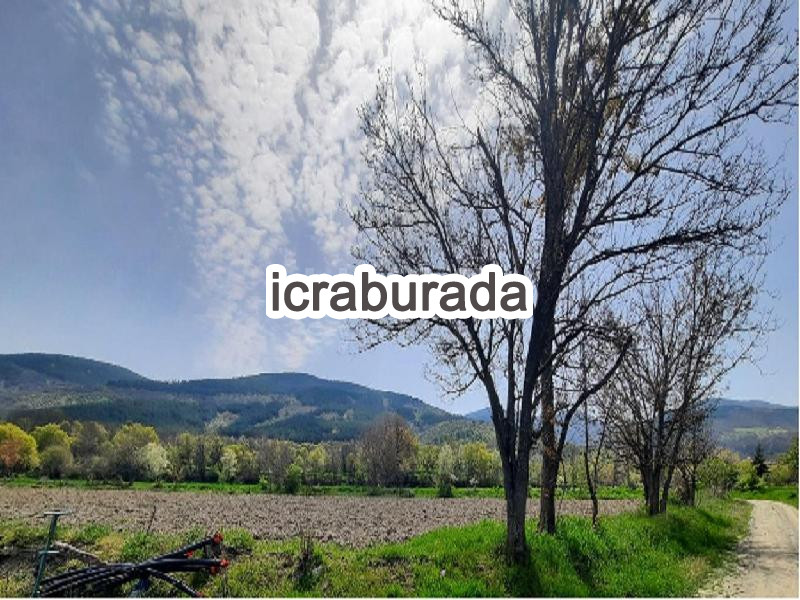 icralık  m2 Bag Tokat Pazar Dereköy