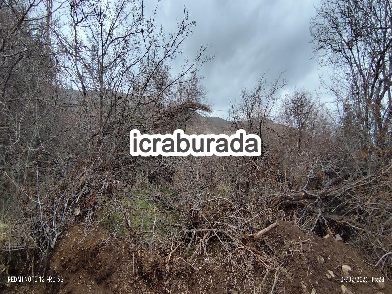 icralık  m2 Bag Elazığ Merkez Gözebaşi (Kinederiç)
