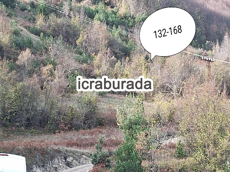 icralık  m2 Tarla Sinop Gerze Çakalli