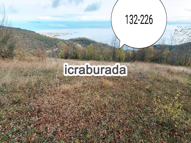 icralık  m2 Tarla Sinop Gerze Çakalli