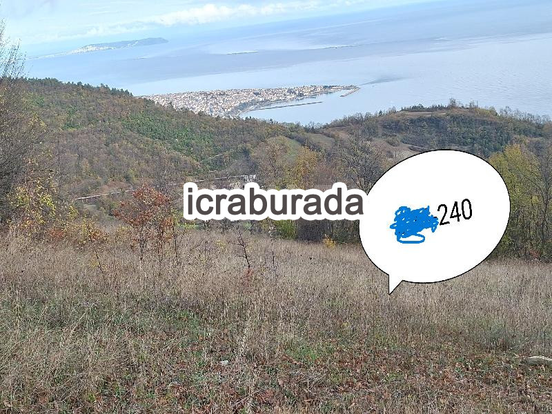 icralık  m2 Tarla Sinop Gerze Çakalli