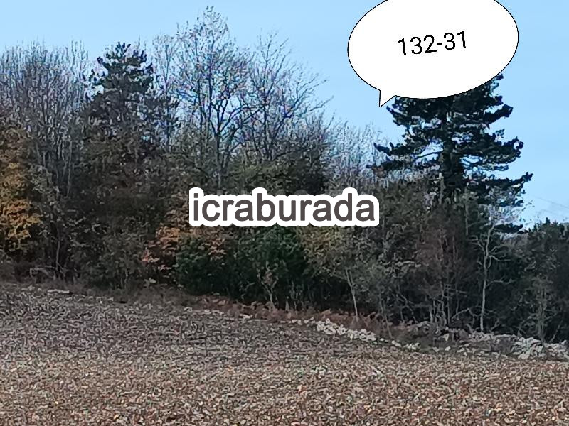icralık  m2 Tarla Sinop Gerze Çakalli