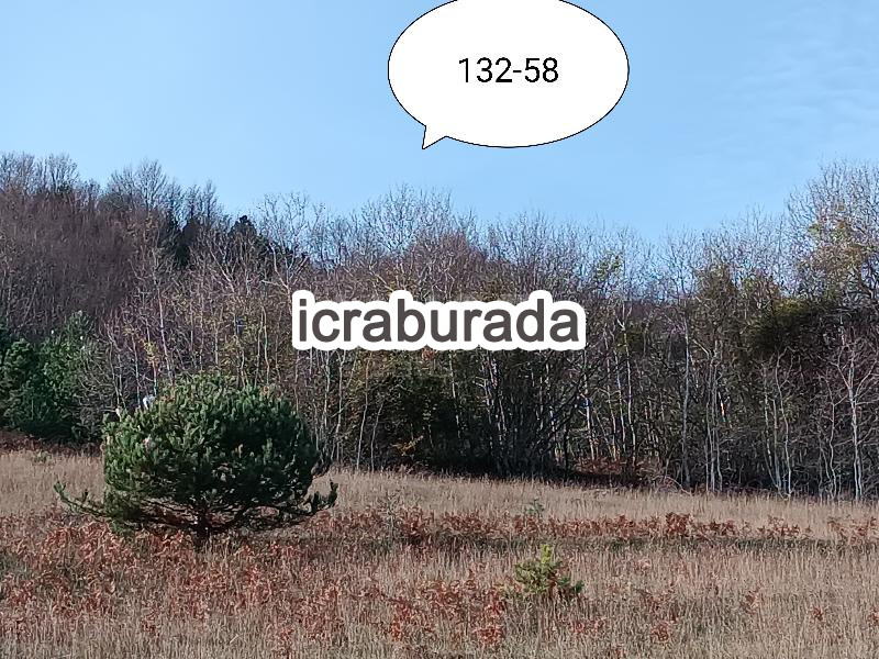 icralık  m2 Tarla Sinop Gerze Çakalli