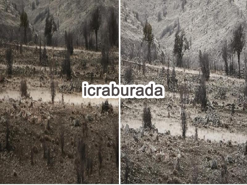 icralık  m2 Tarla Niğde Altunhisar Yeşilyurt