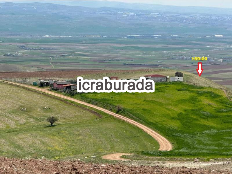 icralık  m2 Tarla Ankara Ayaş Gökler