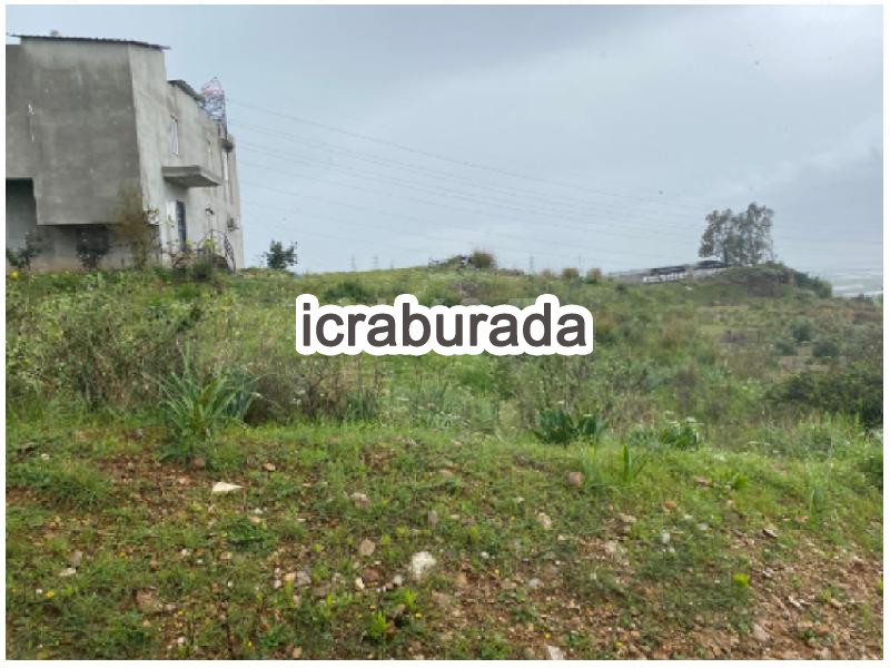 icralık  m2 Arsa Antalya Serik Belpinar